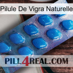 Natural Vigra Pill viagra1